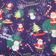 Lade das Bild in den Galerie-Viewer, Kissen Merry Christmas